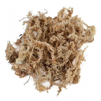 Besgrow Chilean Sphagnum Moss 5 kg – chilijski mech torfowiec (żółty)