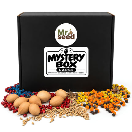 Mystery Box Large – nasiona roślin egzotycznych mr.seed