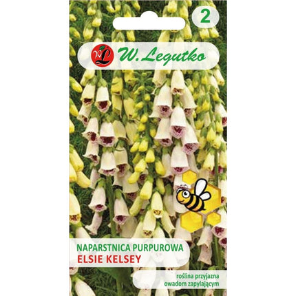 Naparstnica purpurowa Elsie Kelsey biała - Digitalis purpurea