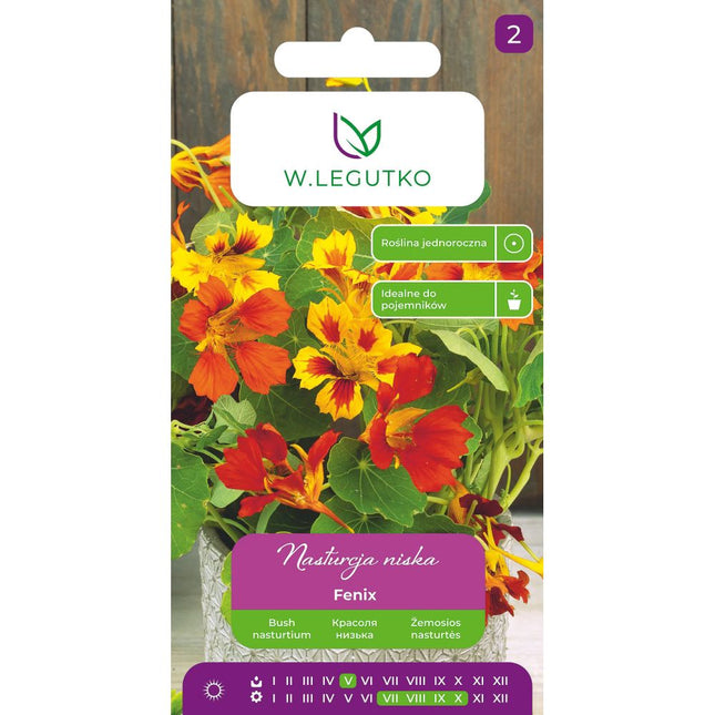 Nasturcja niska Fenix - Tropaeolum majus nanum