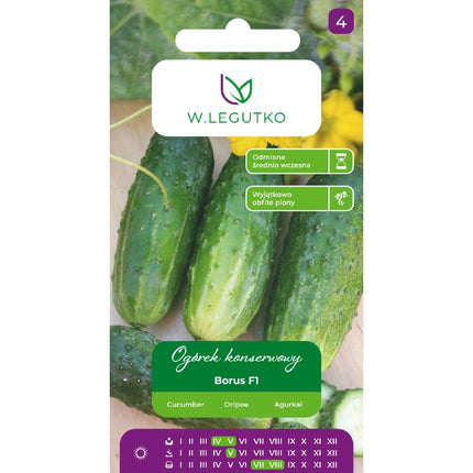 Ogórek gruntowy Borus F1 - Cucumis sativus