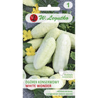 Ogórek gruntowy White Wonder - Cucumis sativus