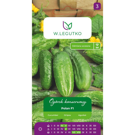 Ogórek gruntowy Polan F1 - Cucumis sativus