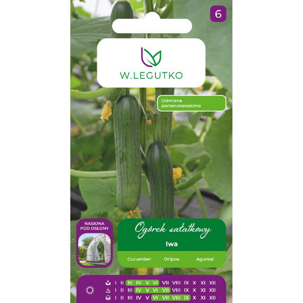Ogórek pod osłony Iwa - Cucumis sativus