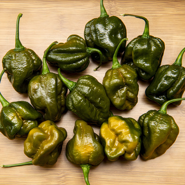 Papryka chili Trinidad Moruga Scorpion Green – zielone owoce