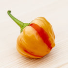 Papryka chili Peppapeach Stripey – brzoskwiniowy owoc w czerwone paski