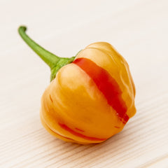 Papryka chili Peppapeach Stripey – brzoskwiniowy owoc w czerwone paski
