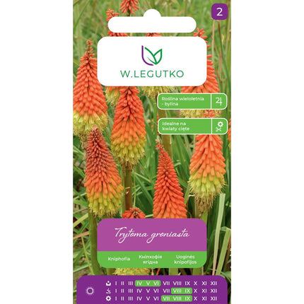 Trytoma groniasta czerwono-żółta - Kniphofia uvaria