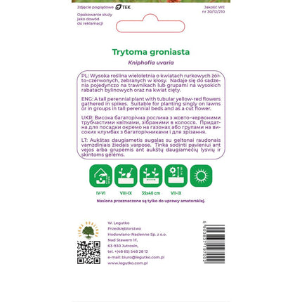 Trytoma groniasta czerwono-żółta - Kniphofia uvaria