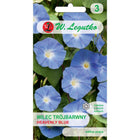 Wilec trójbarwny Heavenly Blue - Ipomoea tricolor