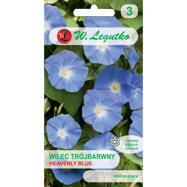 Wilec trójbarwny Heavenly Blue - Ipomoea tricolor